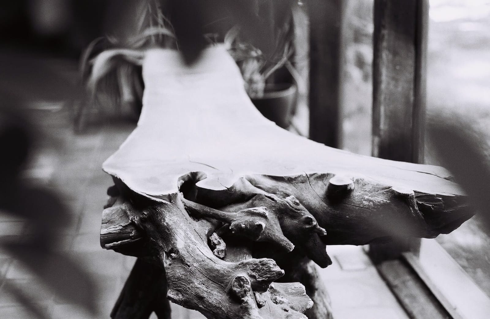 A black-and-white closeup of a Brad Teasdale mermaid bench