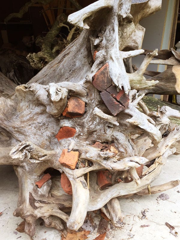 Hudson River driftwood from an ash tree that grew around bricks from Denning Point, in Beacon.