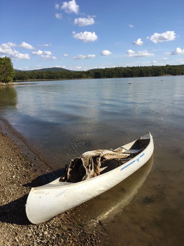 A canoe filled with driftwood on the shore of the Hudson River