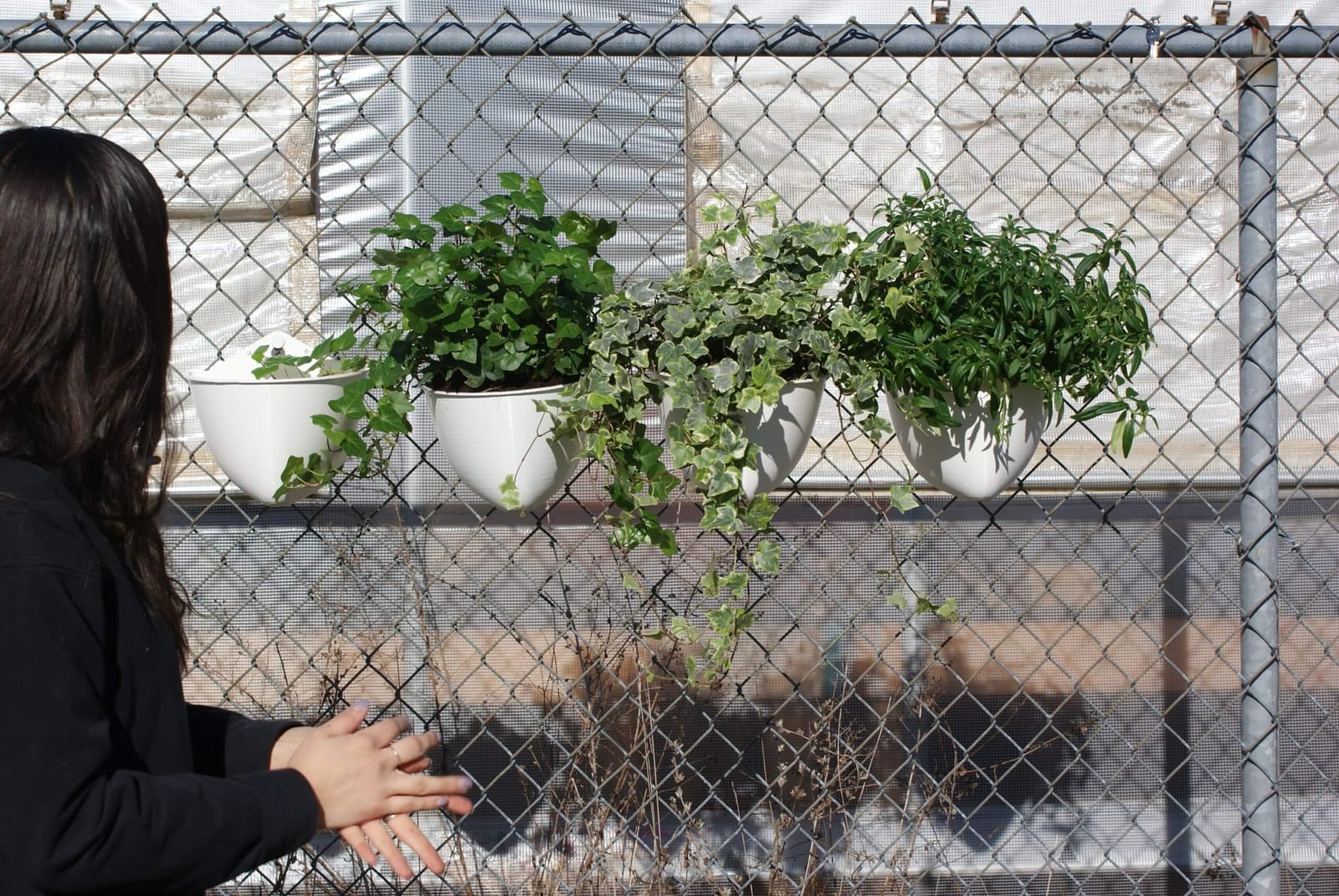 A group of SeadPods planters fit into a chain-link fence