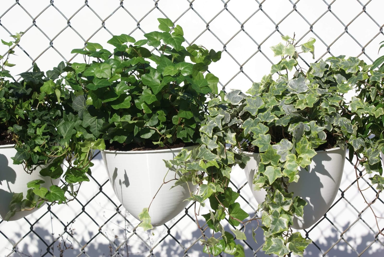 A set of Plant Seads planters fit into a chain-link fence