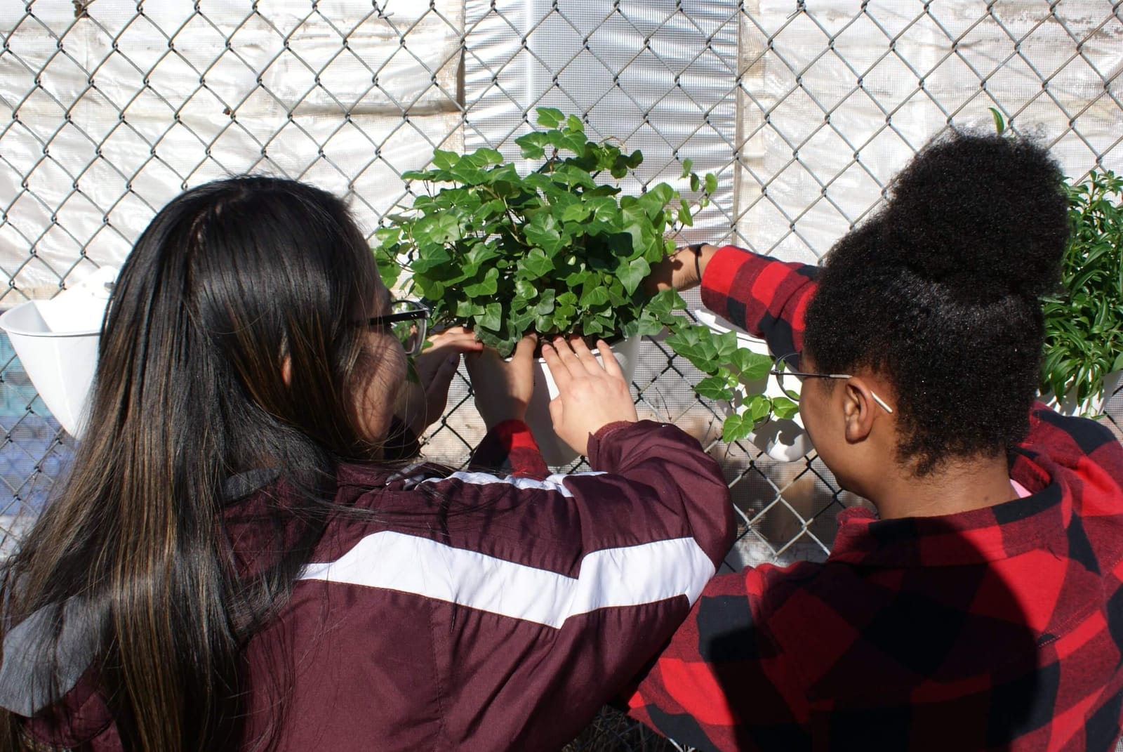 Two Kingston students working with SeadPods planters at a chain-link fence