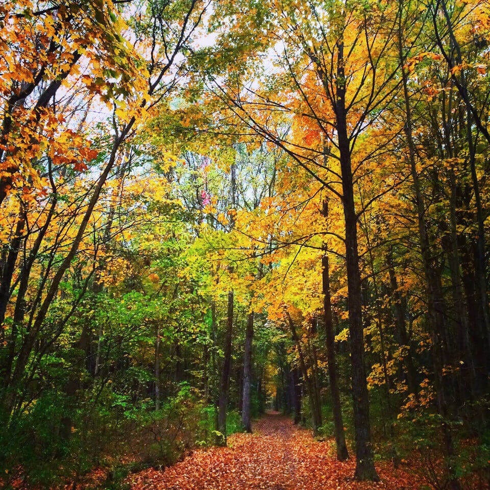 A rail trail in the Hudson Valley