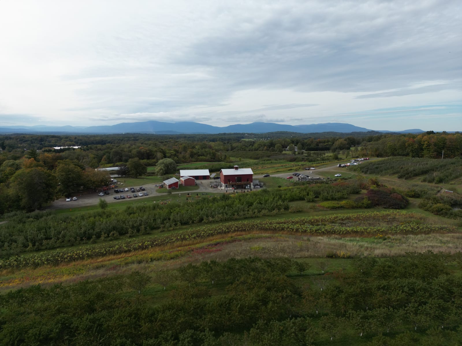 Rose Hill Farm in Red Hook, shortly before the HVSFW Organic Runway Show started in 2024