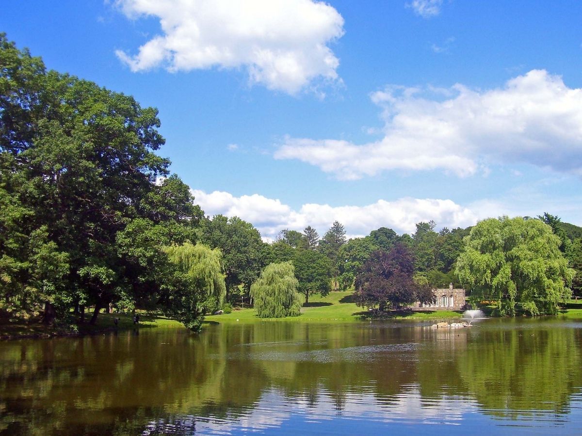Downing Park