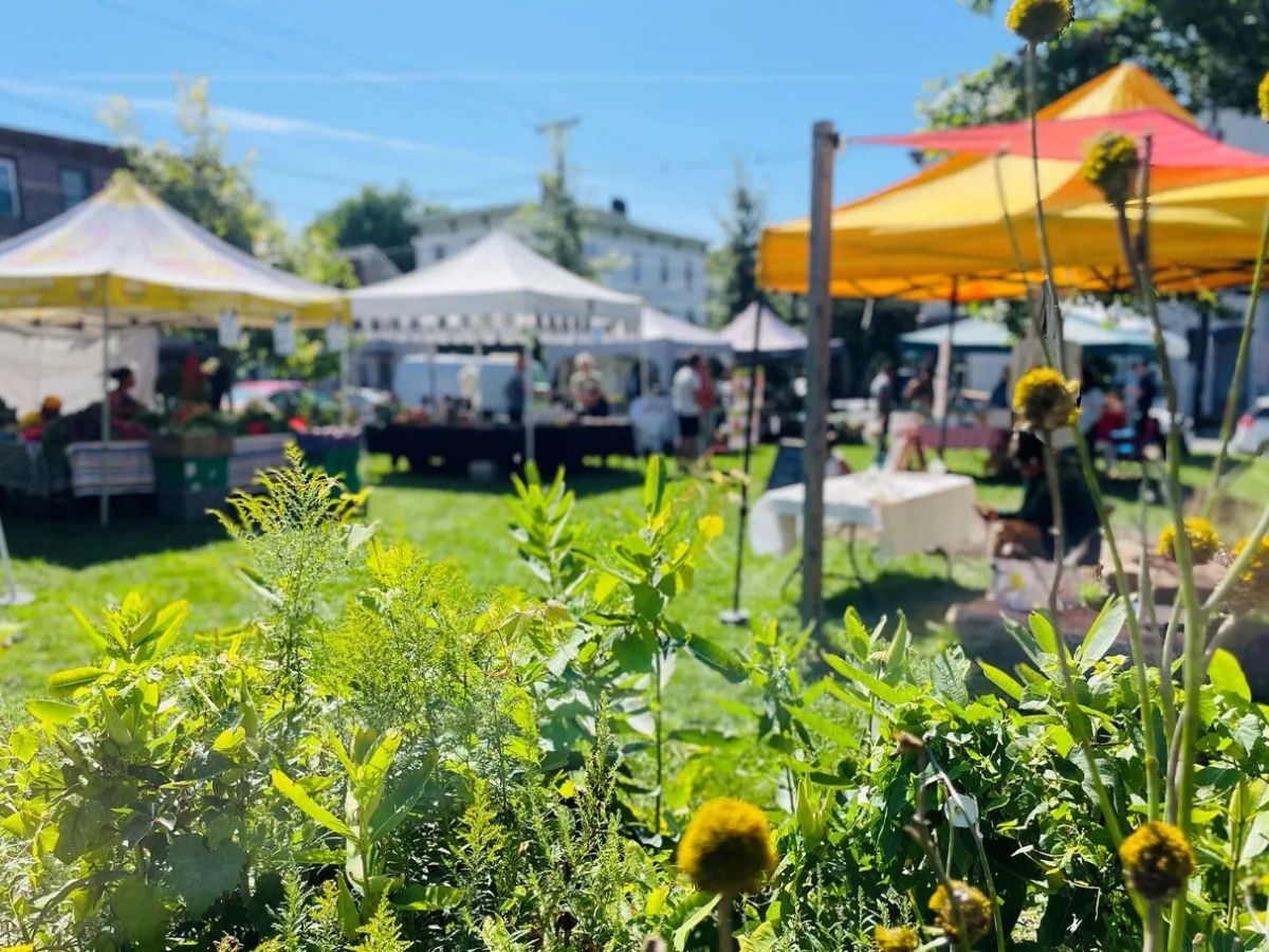 Spring Into Newburgh