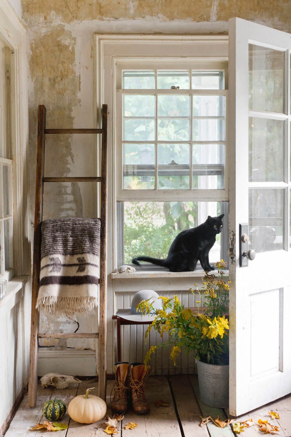 An interior photographed by Hudson Valley-based photographer Rikki Snyder